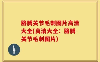 胳膊关节毛刺图片高清大全(高清大全：胳膊关节毛刺图片)