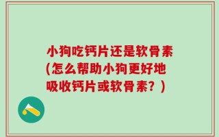 小狗吃钙片还是软骨素(怎么帮助小狗更好地吸收钙片或软骨素？)