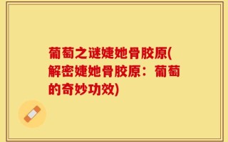 葡萄之谜婕她骨胶原(解密婕她骨胶原：葡萄的奇妙功效)