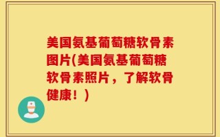 美国氨基葡萄糖软骨素图片(美国氨基葡萄糖软骨素照片，了解软骨健康！)