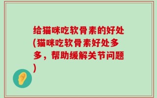 给猫咪吃软骨素的好处(猫咪吃软骨素好处多多，帮助缓解关节问题)