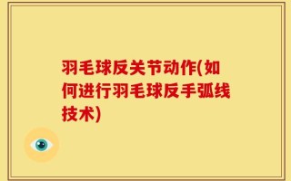 羽毛球反关节动作(如何进行羽毛球反手弧线技术)