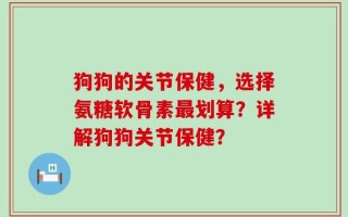 狗狗的关节保健，选择氨糖软骨素最划算？详解狗狗关节保健？