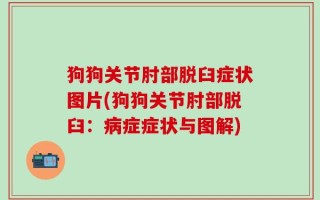 狗狗关节肘部脱臼症状图片(狗狗关节肘部脱臼：病症症状与图解)