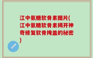 江中氨糖软骨素图片(江中氨糖软骨素揭开神奇修复软骨掩盖的秘密)