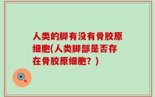 人类的脚有没有骨胶原细胞(人类脚部是否存在骨胶原细胞？)