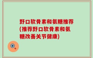 野口软骨素和氨糖推荐(推荐野口软骨素和氨糖改善关节健康)