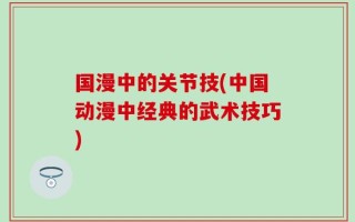 国漫中的关节技(中国动漫中经典的武术技巧)