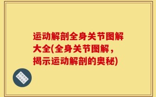 运动解剖全身关节图解大全(全身关节图解，揭示运动解剖的奥秘)
