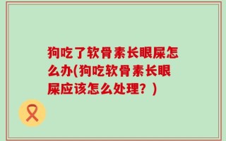 狗吃了软骨素长眼屎怎么办(狗吃软骨素长眼屎应该怎么处理？)