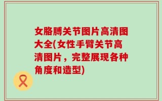 女胳膊关节图片高清图大全(女性手臂关节高清图片，完整展现各种角度和造型)