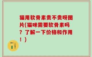 猫用软骨素贵不贵呀图片(猫咪需要软骨素吗？了解一下价格和作用！)