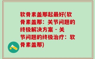 软骨素盖那起最好(软骨素盖那：关节问题的终极解决方案 - 关节问题的终极治疗：软骨素盖那)
