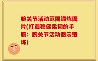 腕关节活动范围锻炼图片(打造稳健柔韧的手腕：腕关节活动图示锻炼)