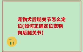 宠物犬后腿关节怎么定位(如何正确定位宠物狗后腿关节)