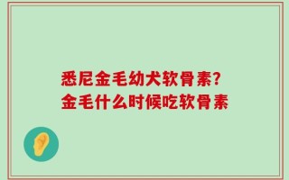 悉尼金毛幼犬软骨素？金毛什么时候吃软骨素