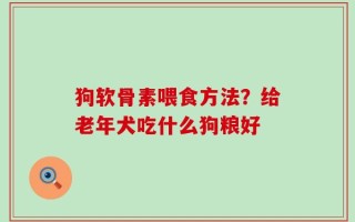 狗软骨素喂食方法？给老年犬吃什么狗粮好