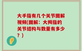 大手指有几个关节图解视频(图解：大拇指的关节结构与数量有多少？)