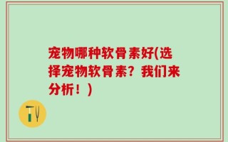宠物哪种软骨素好(选择宠物软骨素？我们来分析！)