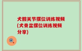 犬髋关节摆位训练视频(犬骨盆摆位训练视频分享)