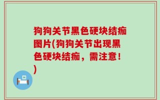 狗狗关节黑色硬块结痂图片(狗狗关节出现黑色硬块结痂，需注意！)