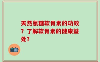 天然氨糖软骨素的功效？了解软骨素的健康益处？