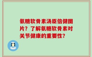 氨糖软骨素汤臣倍健图片？了解氨糖软骨素对关节健康的重要性？