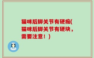猫咪后脚关节有硬痂(猫咪后脚关节有硬块，需要注意！)