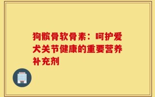 狗髌骨软骨素：呵护爱犬关节健康的重要营养补充剂