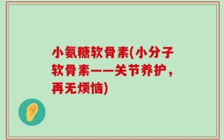 小氨糖软骨素(小分子软骨素——关节养护，再无烦恼)