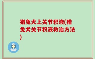 猎兔犬上关节积液(猎兔犬关节积液救治方法)