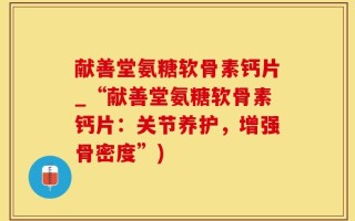 献善堂氨糖软骨素钙片_“献善堂氨糖软骨素钙片：关节养护，增强骨密度”)