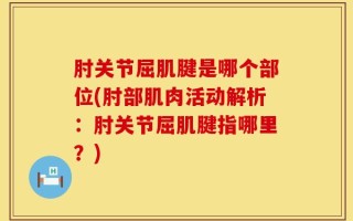 肘关节屈肌腱是哪个部位(肘部肌肉活动解析：肘关节屈肌腱指哪里？)