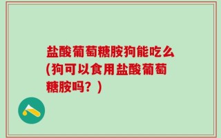 盐酸葡萄糖胺狗能吃么(狗可以食用盐酸葡萄糖胺吗？)