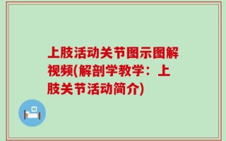 上肢活动关节图示图解视频(解剖学教学：上肢关节活动简介)