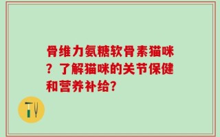 骨维力氨糖软骨素猫咪？了解猫咪的关节保健和营养补给？