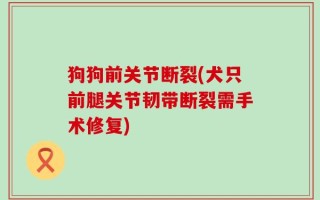 狗狗前关节断裂(犬只前腿关节韧带断裂需手术修复)