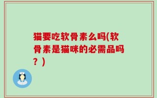 猫要吃软骨素么吗(软骨素是猫咪的必需品吗？)