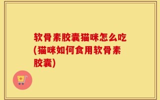 软骨素胶囊猫咪怎么吃(猫咪如何食用软骨素胶囊)