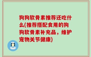 狗狗软骨素推荐还吃什么(推荐搭配食用的狗狗软骨素补充品，维护宠物关节健康)