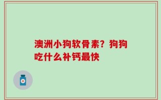 澳洲小狗软骨素？狗狗吃什么补钙最快