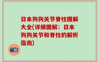 日本狗狗关节脊柱图解大全(详细图解：日本狗狗关节和脊柱的解析指南)