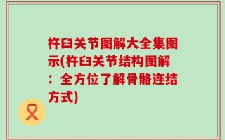 杵臼关节图解大全集图示(杵臼关节结构图解：全方位了解骨骼连结方式)