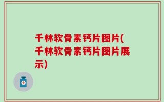 千林软骨素钙片图片(千林软骨素钙片图片展示)
