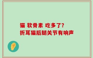 猫 软骨素 吃多了？折耳猫后腿关节有响声