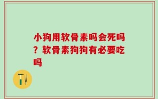 小狗用软骨素吗会死吗？软骨素狗狗有必要吃吗