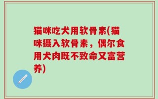 猫咪吃犬用软骨素(猫咪摄入软骨素，偶尔食用犬肉既不致命又富营养)