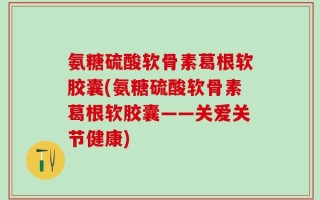 氨糖硫酸软骨素葛根软胶囊(氨糖硫酸软骨素葛根软胶囊——关爱关节健康)