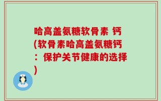 哈高盖氨糖软骨素 钙(软骨素哈高盖氨糖钙：保护关节健康的选择)