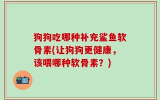 狗狗吃哪种补充鲨鱼软骨素(让狗狗更健康，该喂哪种软骨素？)